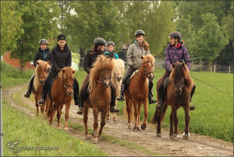 Reitferien in Waldauen