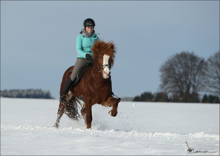 Wintertraining in Waldauen
