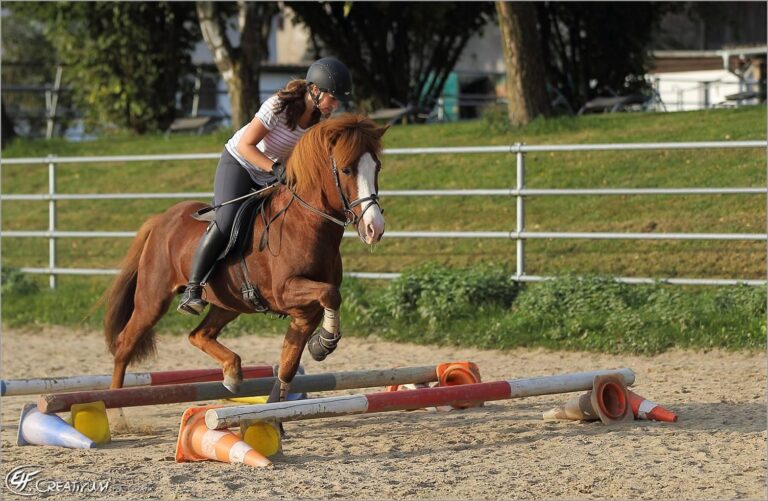 Individualtraining 4 in Waldauen