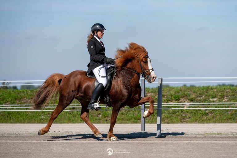 Individualkurs/ Turniervorbereitung am Oedhof