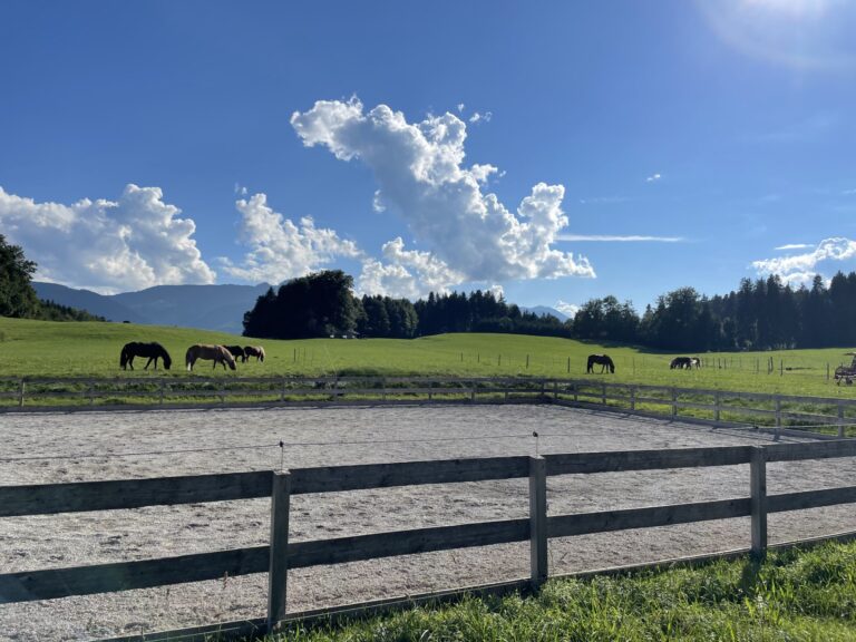 “Abschalten & Aufladen” Wochenendkurs am Islandpferdegestüt Hainzberg