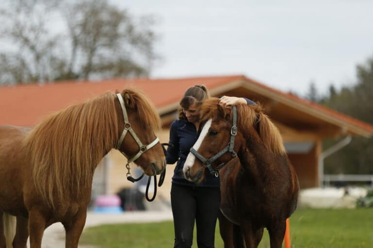 “Abschalten & Aufladen” Wochenendkurs am Islandpferdegestüt Hainzberg